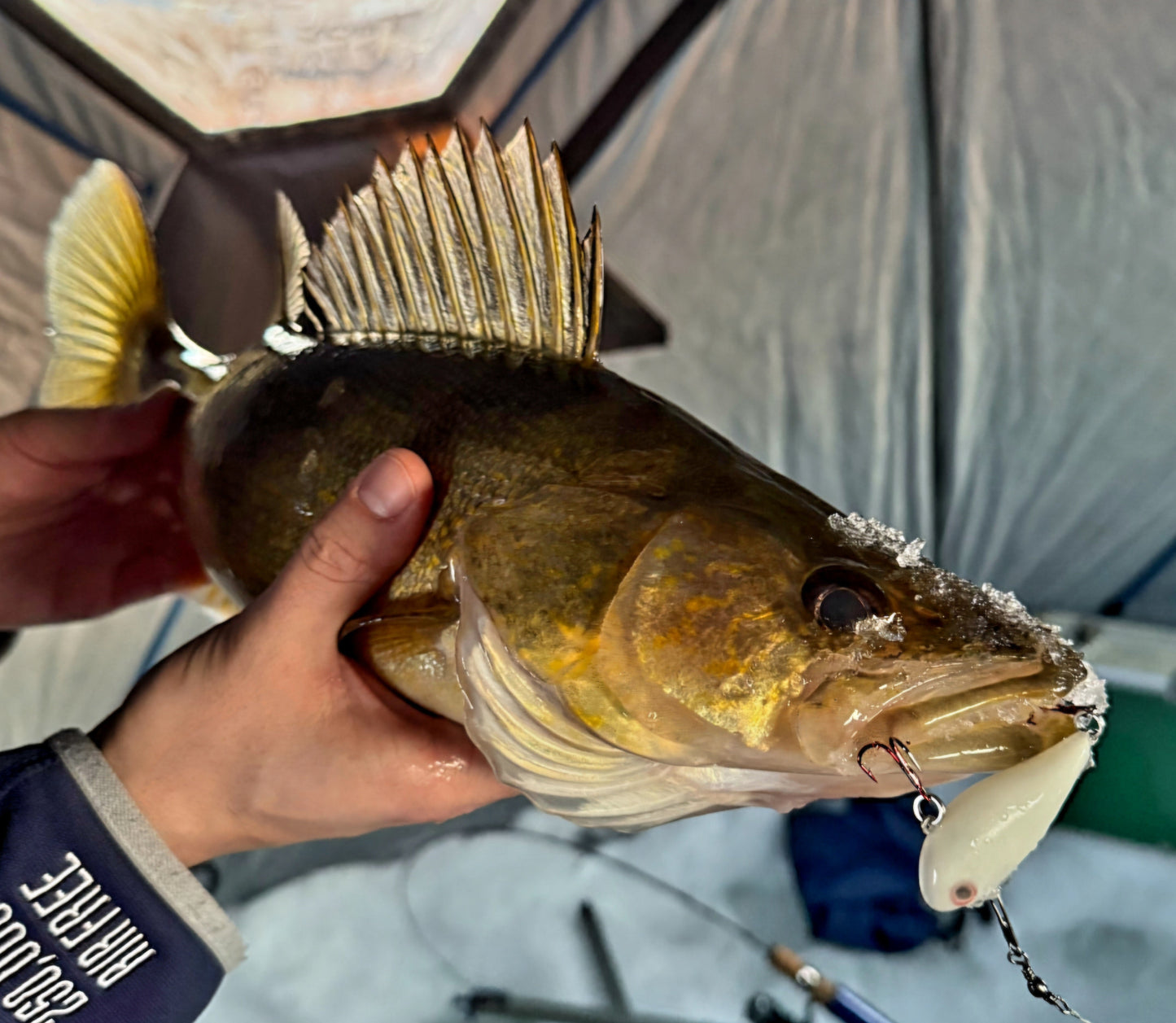 Hypno-Glo Coated Lipless Rattle Baits