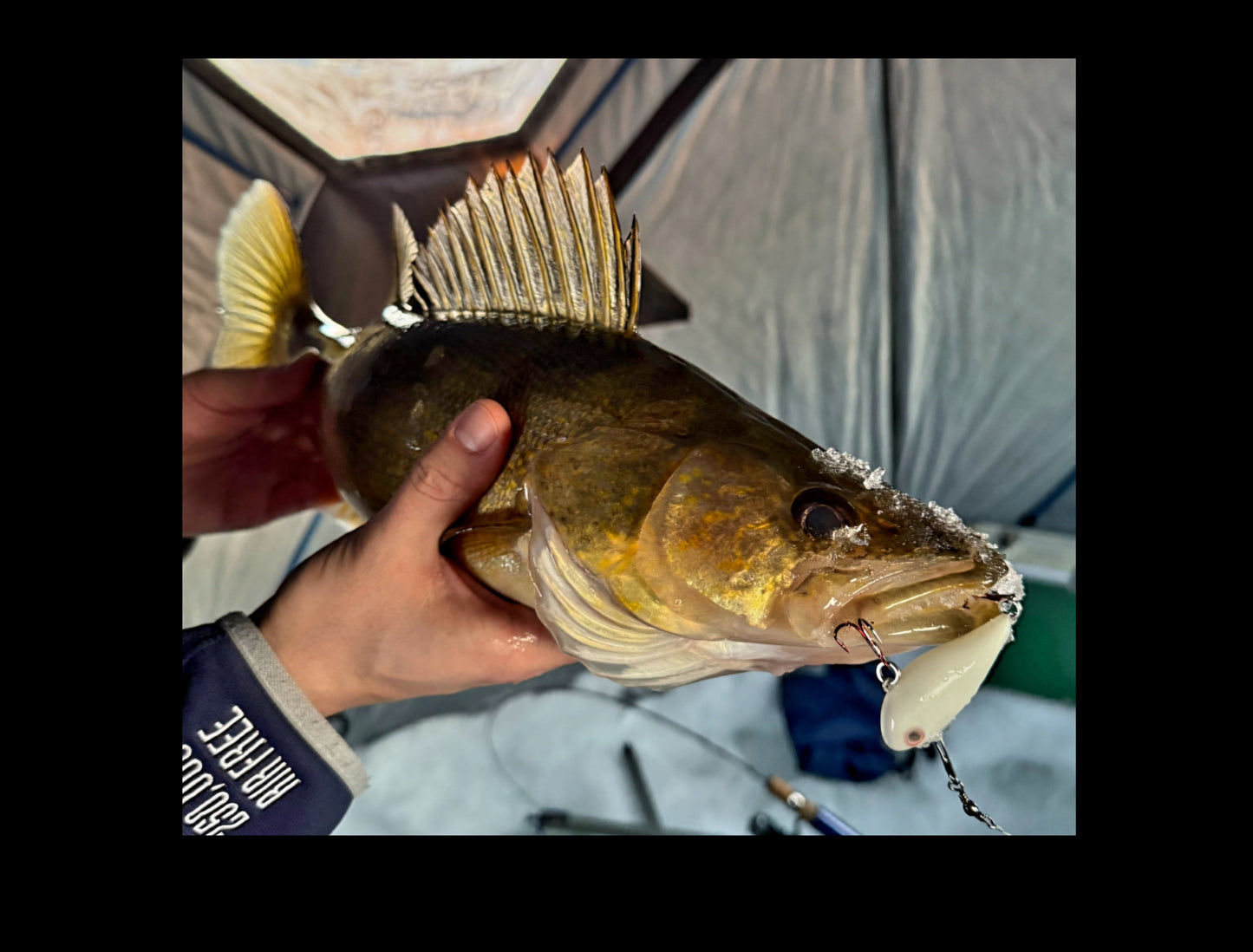 Hypno-Glo Coated Lipless Rattle Baits