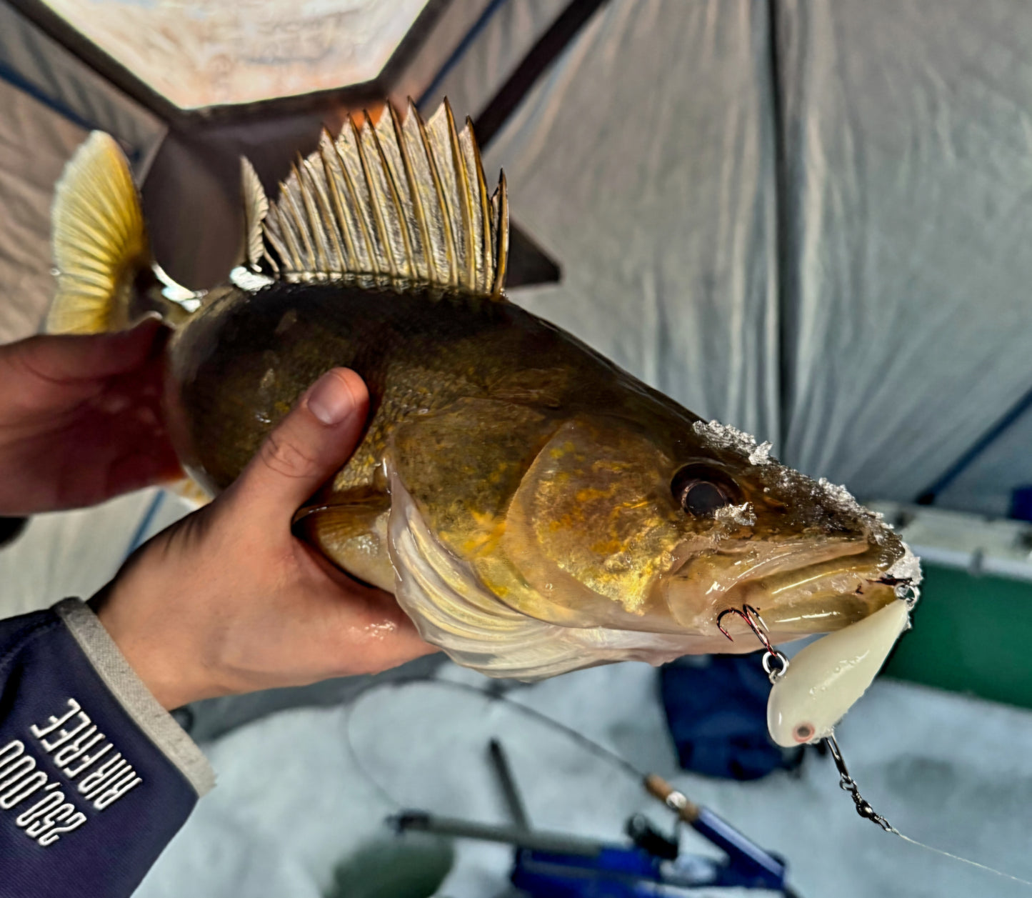 Hypno-Glo Coated Lipless Rattle Baits